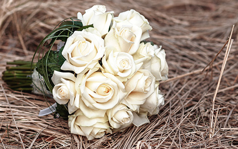 Events & Weddings