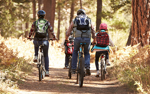 Group riding bikes on trail